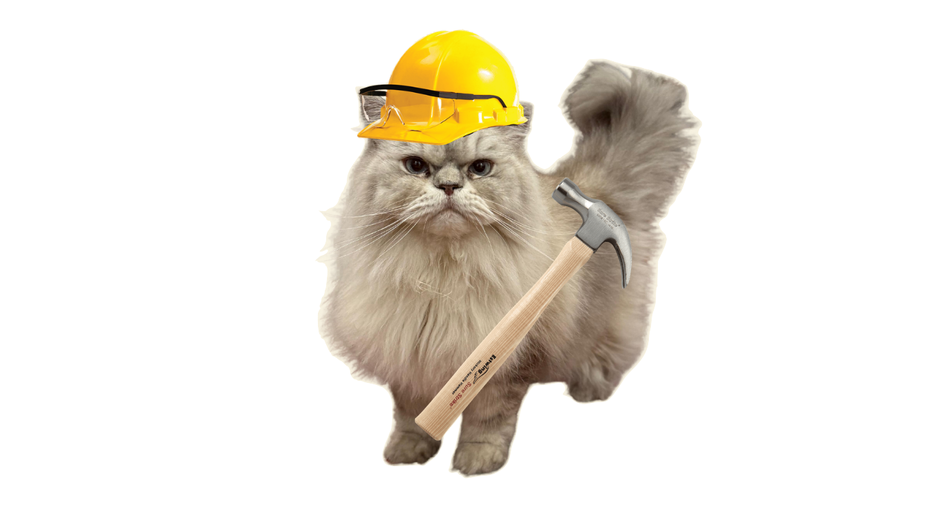 Gato con casco de construcción — muy muy arte en construcción